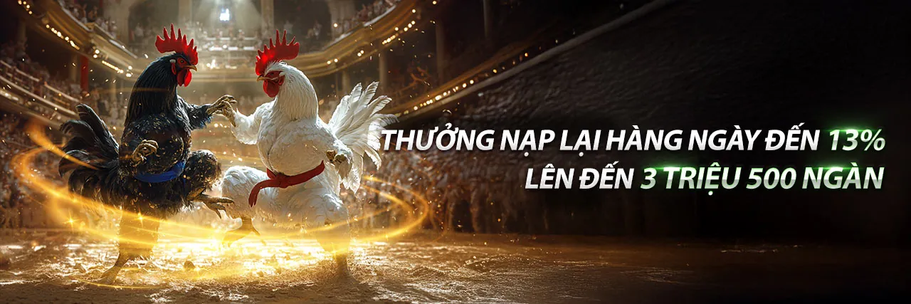 Sân đấu daga67 đá gà 67 trực tuyến